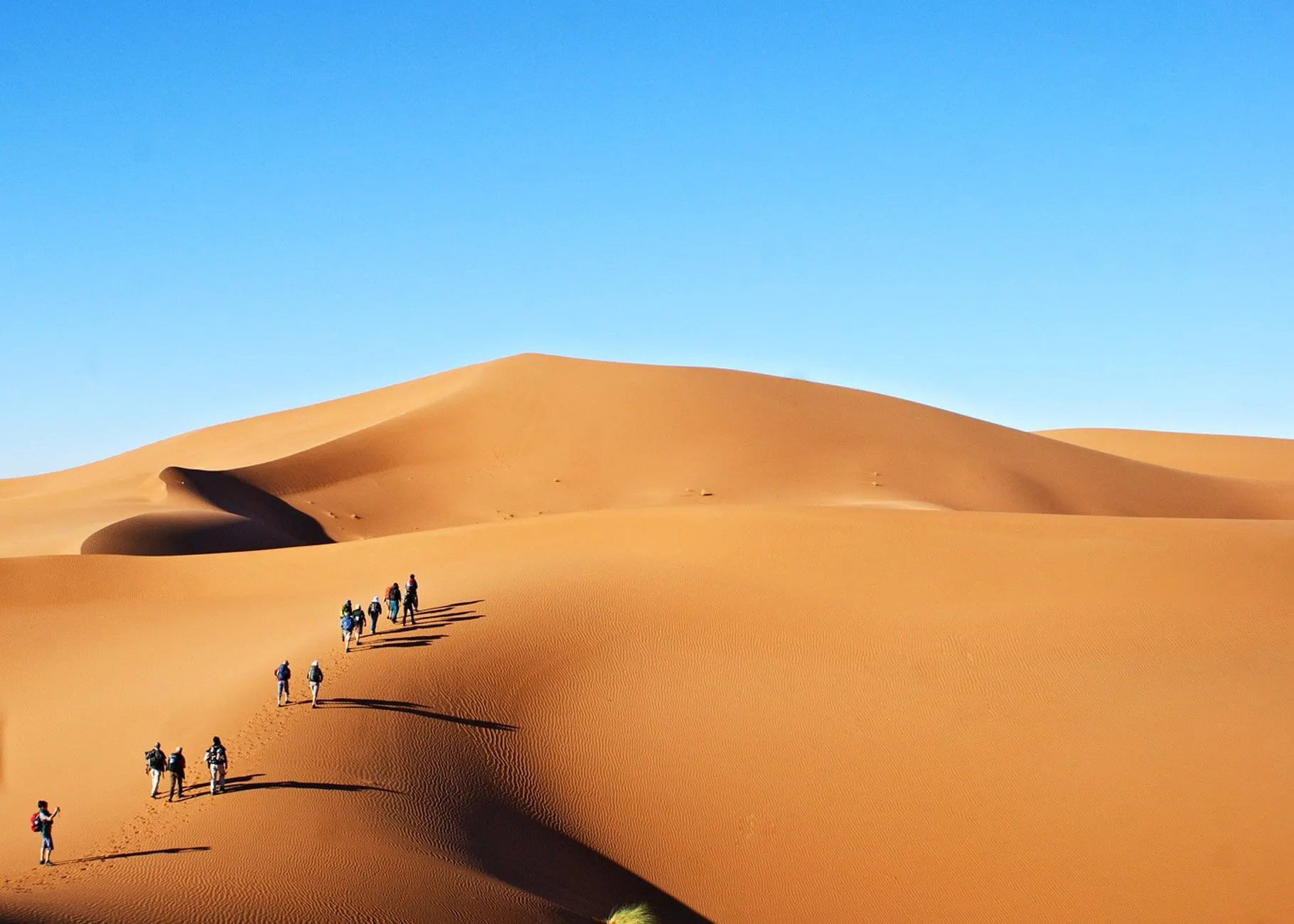 Sahara Desert